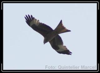 mm-2006-oostkantons