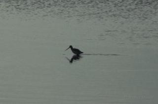 mm-2007-zeeland