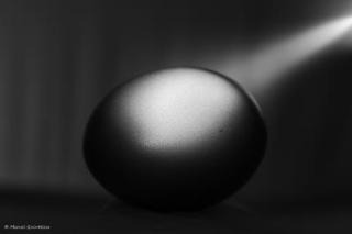 marcel_abstract