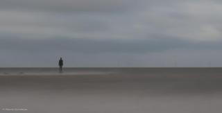 marcel_landschappen