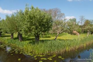 marina_landschappen